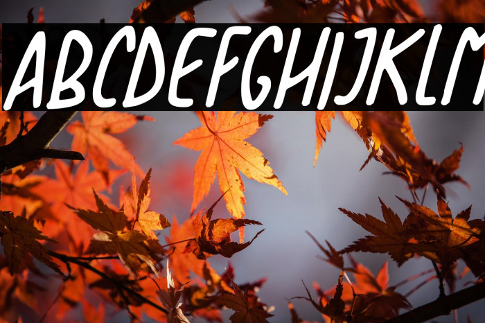 Love The Trees Italic Example 1