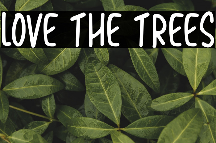 Love The Trees Example 2