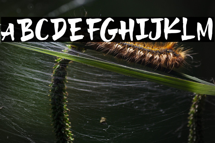 Love & Thunder Example 2