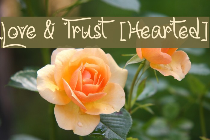 Love & Trust [Hearted] Example 3