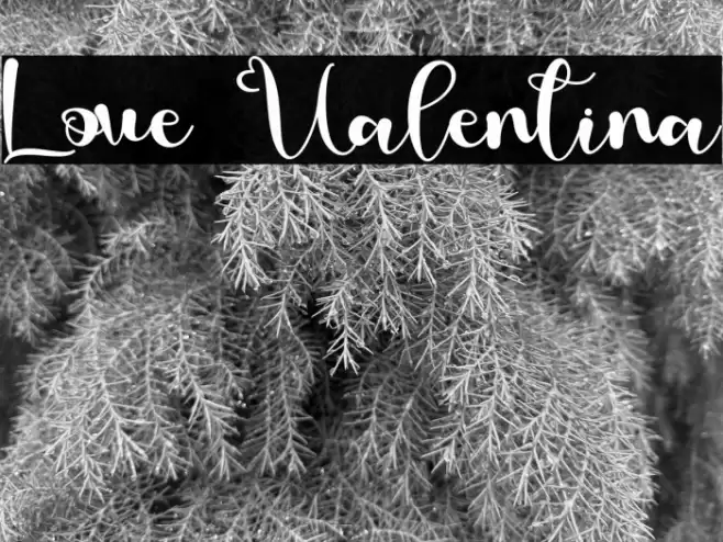 Love Valentina Font examples
