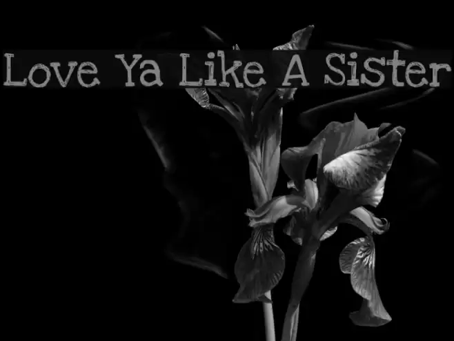 Love Ya Like A Sister Font examples