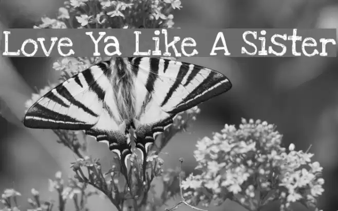 Love Ya Like A Sister Font examples