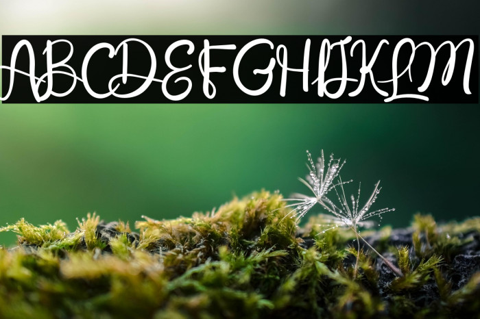 Love Yellow Example 3