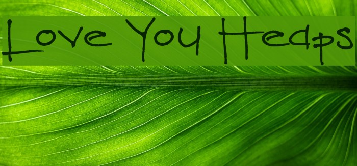 Love You Heaps Example 1