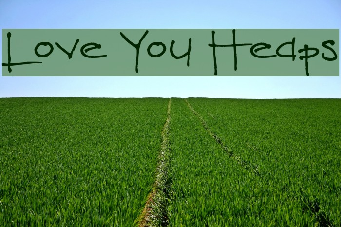 Love You Heaps Example 2