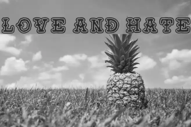 Love and Hate Font examples