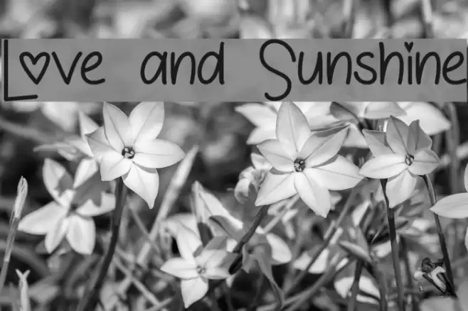 Love and Sunshine Font examples