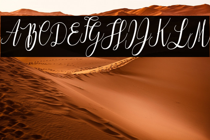 Love is the Law Personal Use Regular Example 1