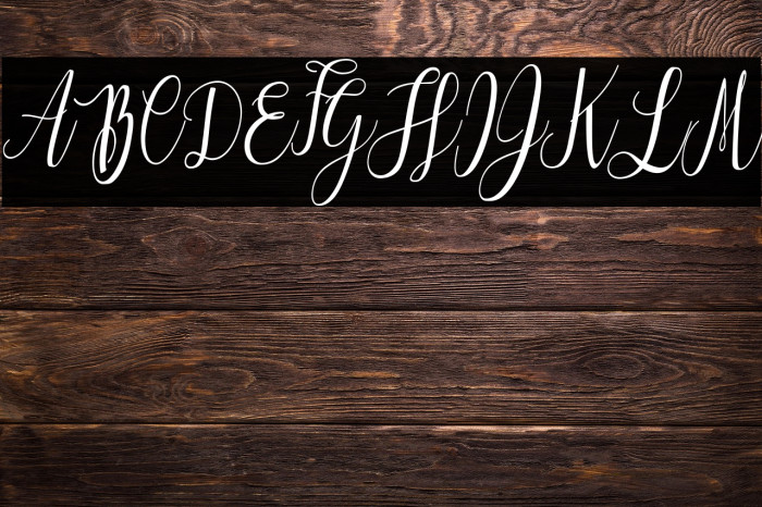 Love is the Law Personal Use Regular Example 2