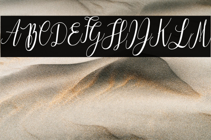 Love is the Law Personal Use Regular Example 3