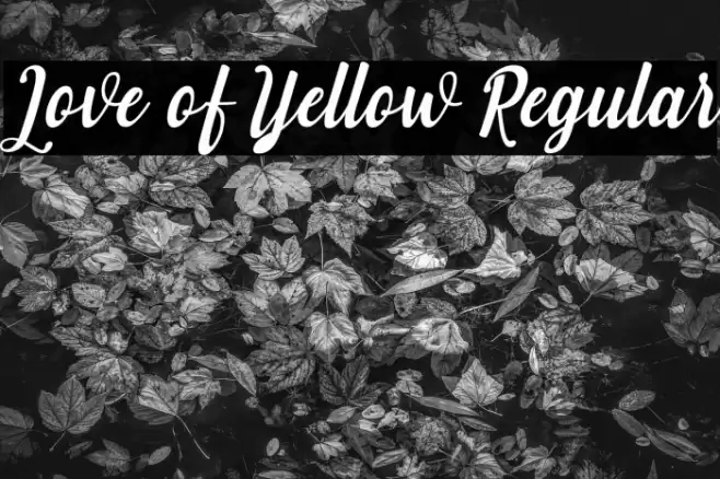 Love of Yellow Regular Font examples