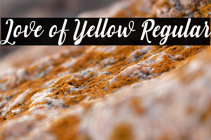 Love of Yellow Regular Example 3