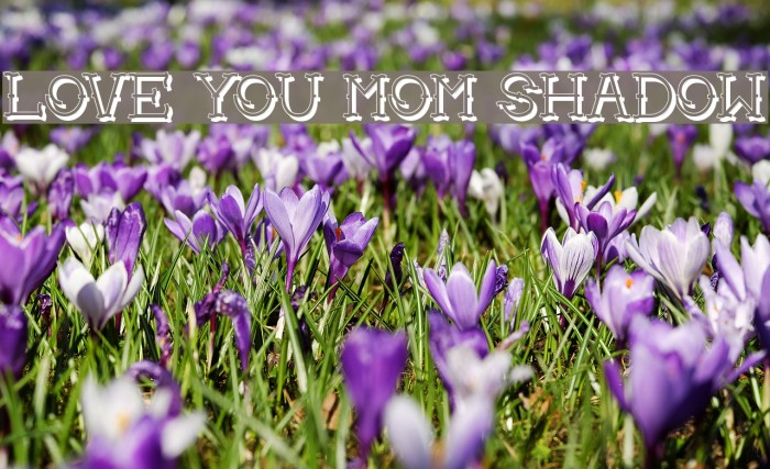 Love you mom Shadow Font examples