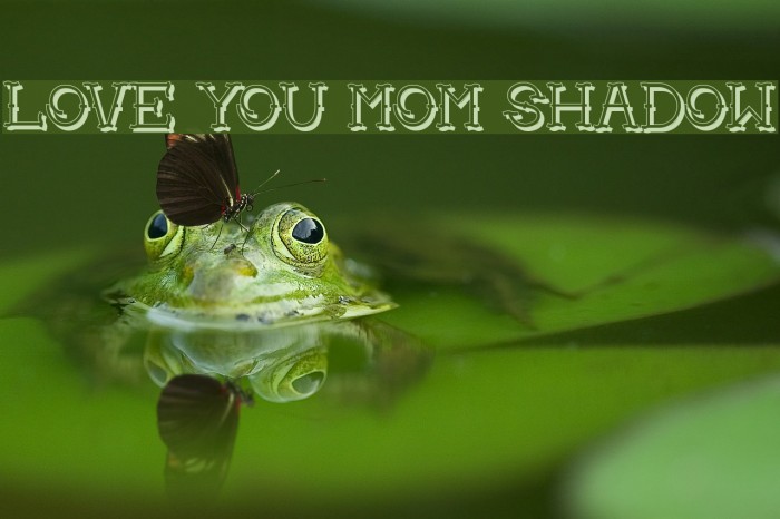 Love you mom Shadow Font examples