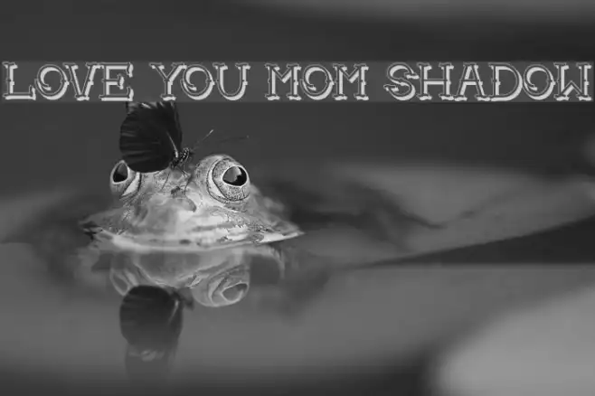Love you mom Shadow Example 3
