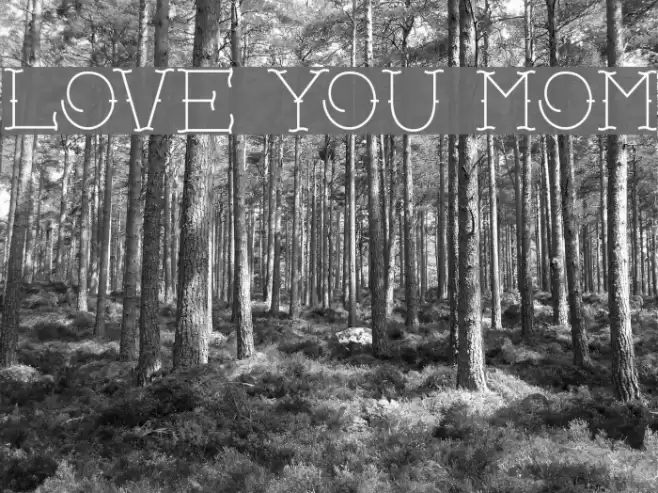 Love you mom Font examples