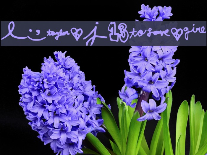 LoveJuliet Font examples