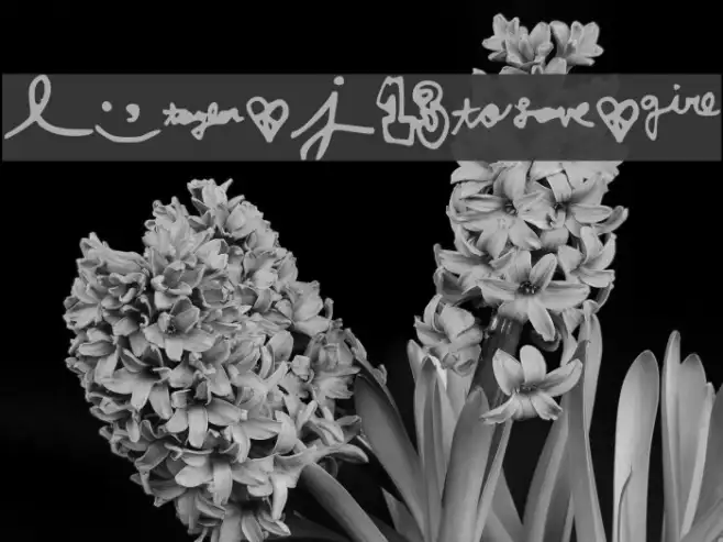 LoveJuliet Example 1