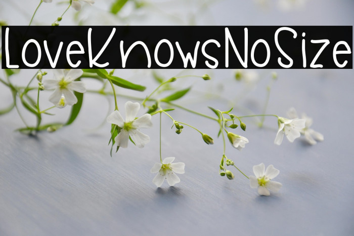 LoveKnowsNoSize Example 2