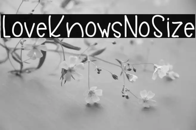 LoveKnowsNoSize Example 2