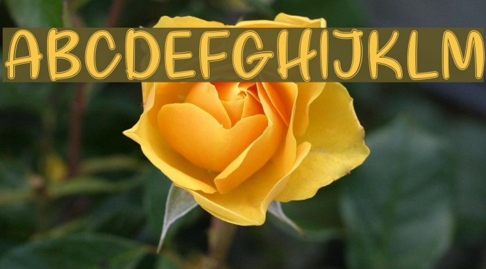 LoveLikeThis Font examples