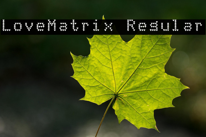 LoveMatrix Regular Example 2