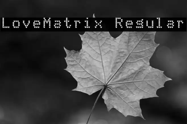 LoveMatrix Regular Example 2