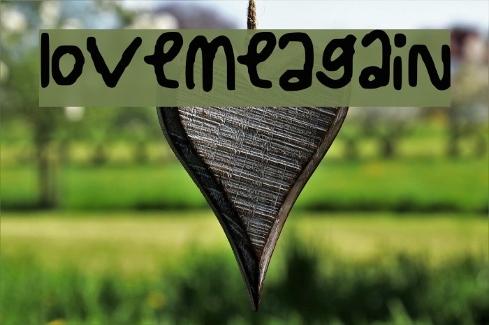 LoveMeAgain Example 1