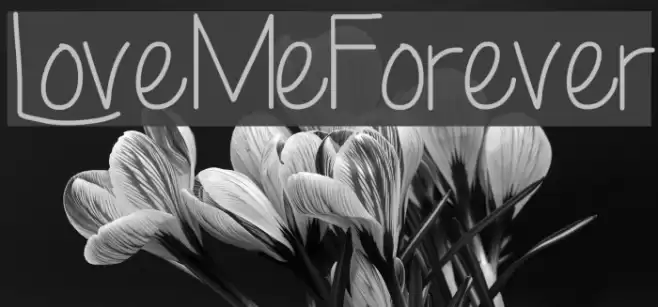 LoveMeForever Font examples