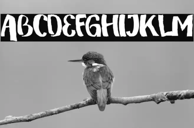 LoveMiles02-Script Шрифта examples