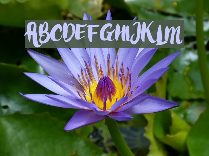 LoveMoment Example 2