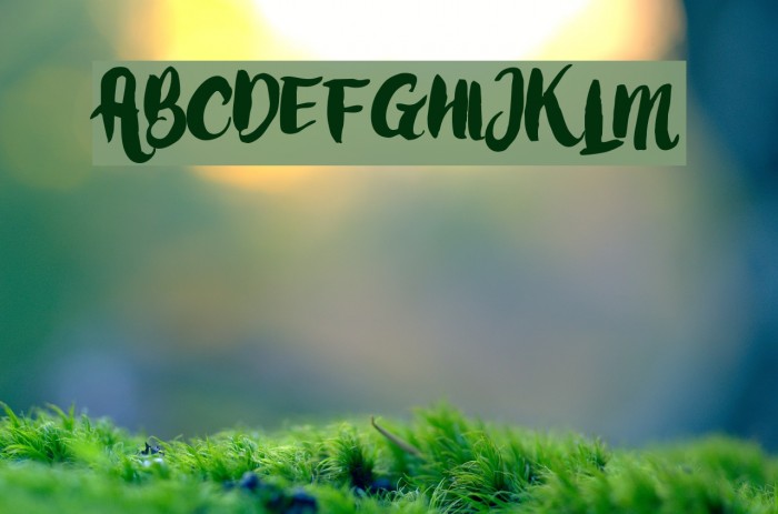 LoveMoment Example 3