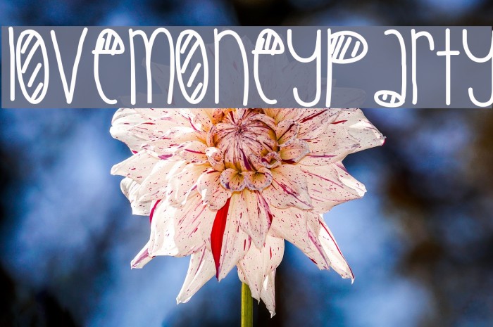 LoveMoneyParty Example 1