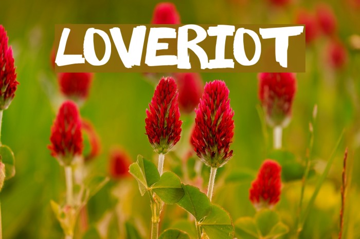 LoveRiot Example 1