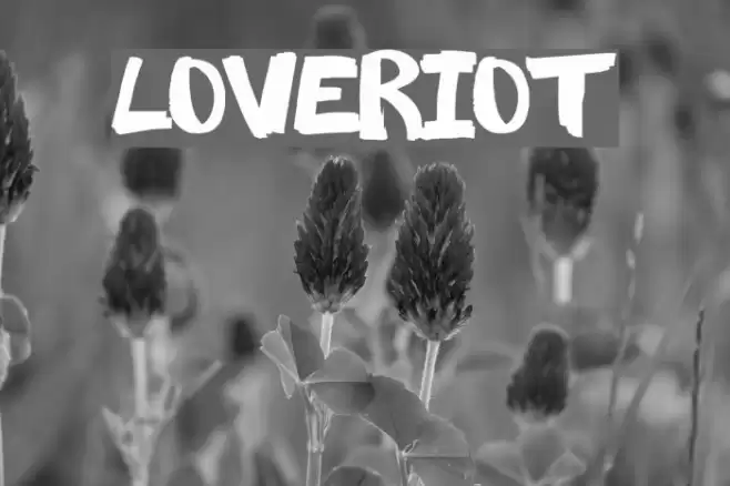 LoveRiot Font examples