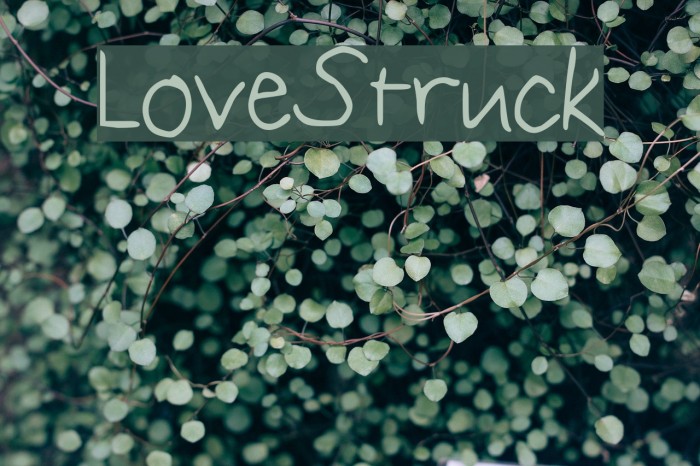 LoveStruck Fonte examples