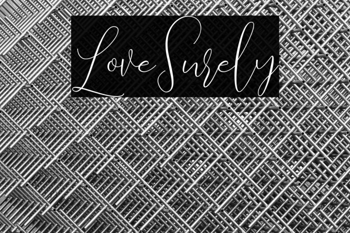 LoveSurely Example 1