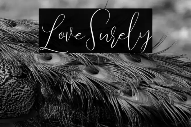 LoveSurely Font examples