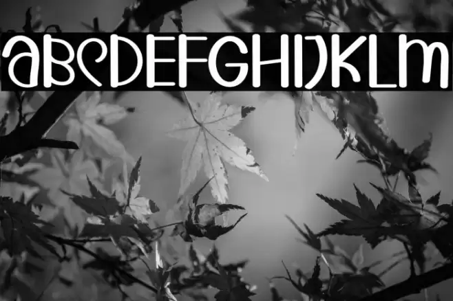 LoveUnicornRegular Caratteri examples