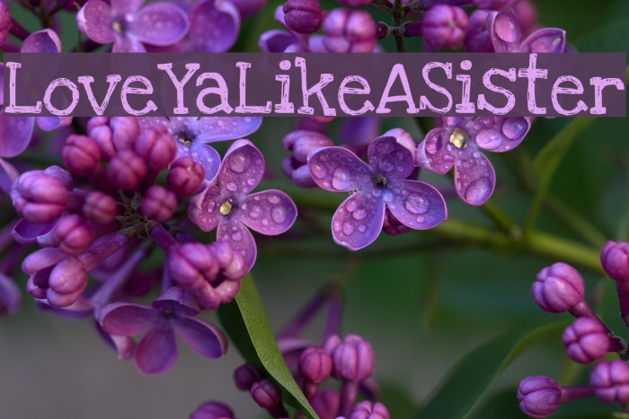 LoveYaLikeASister Font examples