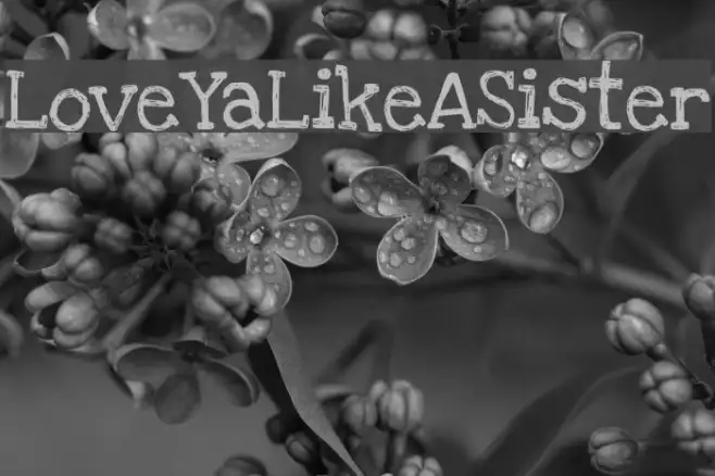 LoveYaLikeASister Example 1