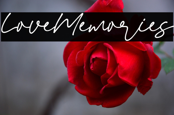 Love_Memories Example 1