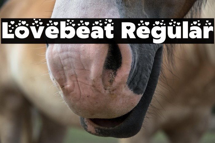 Lovebeat Regular Example 2