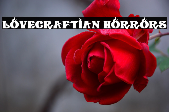 Lovecraftian Horrors Example 3