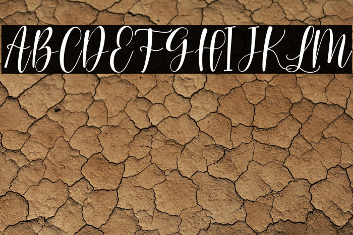 Loved Heart Script Example 3