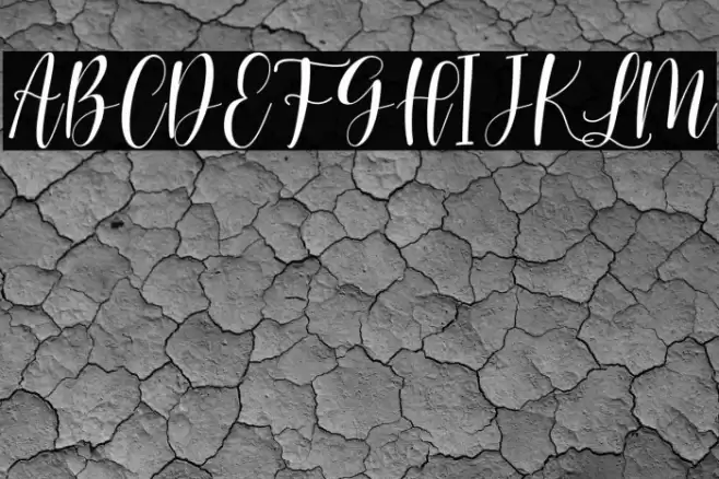 Loved Heart Script Font examples