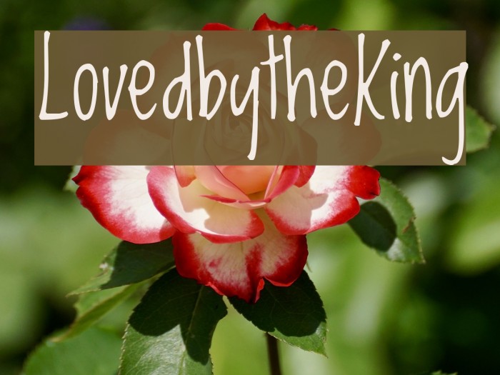 LovedbytheKing Font examples