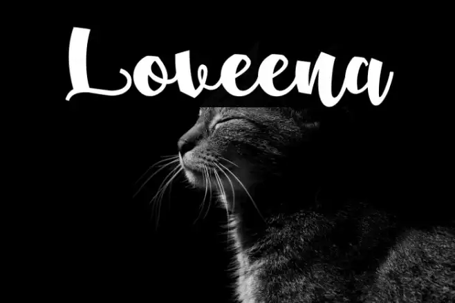 Loveena Example 2