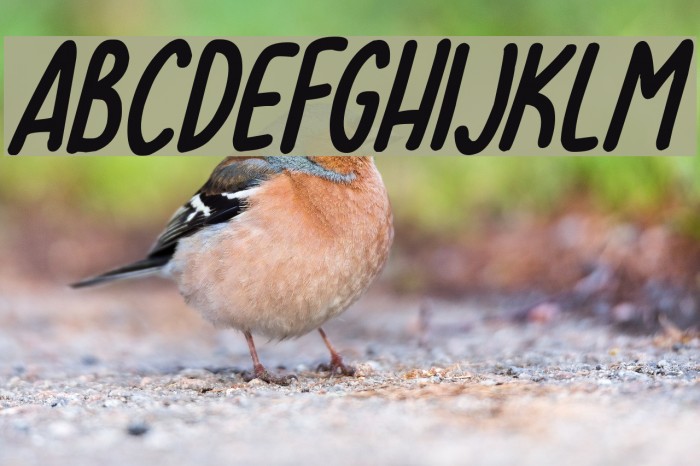 Lovehearts XYZ Italic Example 3